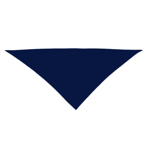 Pañuelos de Fiesta Personalizados - Entrega URG en 72hr