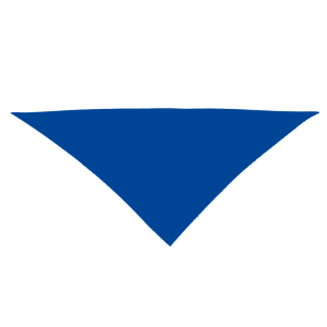 Pañuelos de Fiesta Personalizados - Entrega URG en 72hr