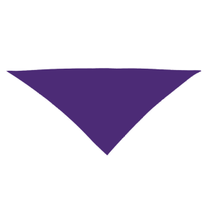 Pañuelos de Fiesta Personalizados - Entrega URG en 72hr