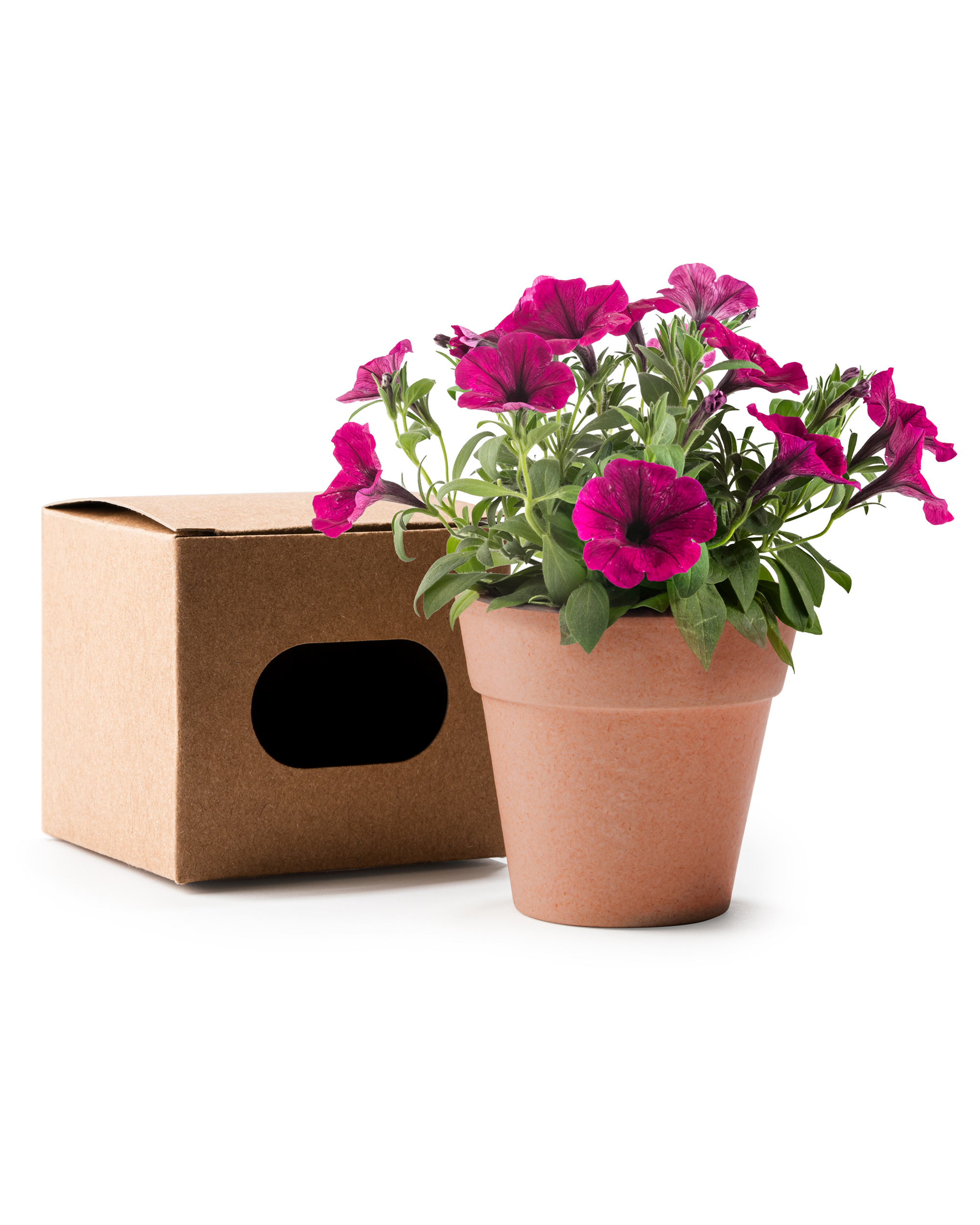 Decoración del hogar